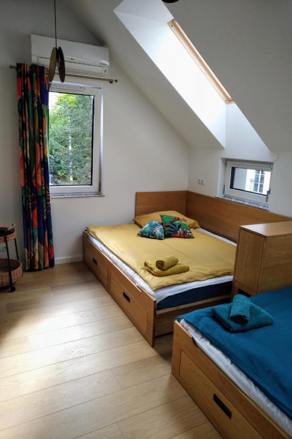 Apartament La Jaguara Artistic House In The Center Of *